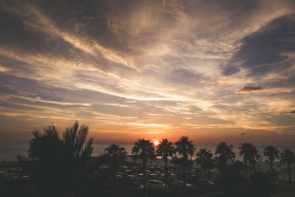 Magnuson Hotel Clearwater Beach Nature photo